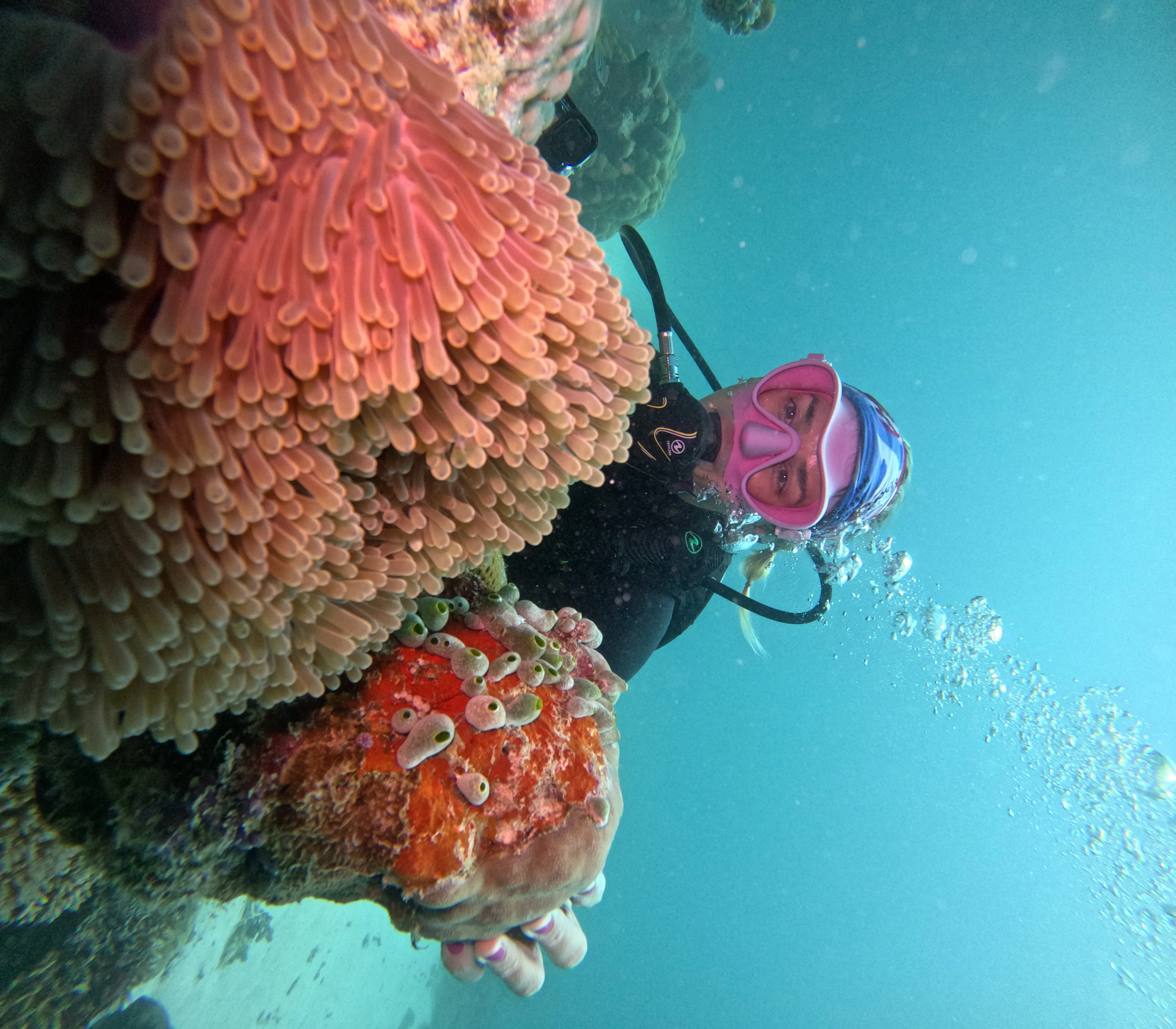 Discover Scuba Diving